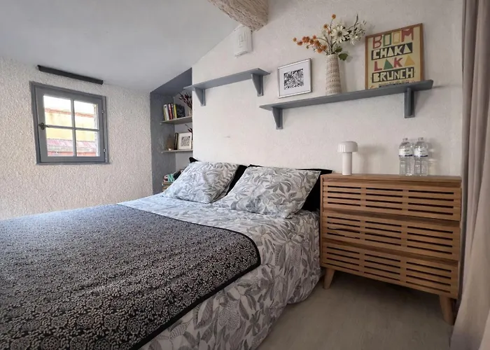 Spacieux Sous Les Toits De Appartement